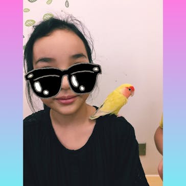 Moff アニマル カフェ イーアス 高尾店に投稿された画像（2019/8/10）