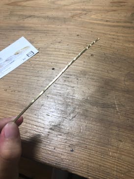 MATEI（マテイ）に投稿された画像（2019/8/11）