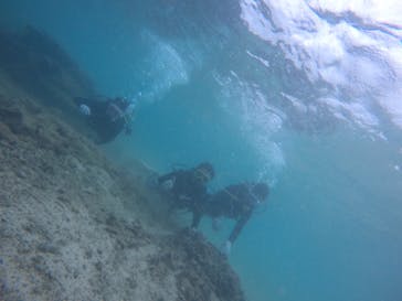 武藤潜水に投稿された画像（2019/8/11）