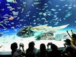 サンシャイン水族館に投稿された画像（2019/8/11）
