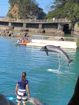下田海中水族館に投稿された画像（2019/8/12）
