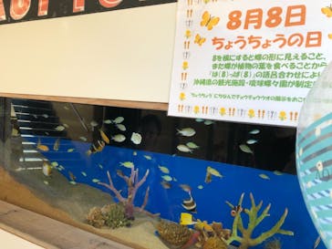 下田海中水族館に投稿された画像（2019/8/12）