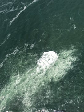 松島熱気球・パラグライダー体験に投稿された画像（2019/8/12）