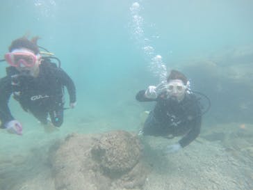 武藤潜水に投稿された画像（2019/8/12）