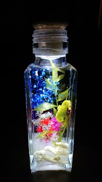 ずこうしつ〜sugamo〜に投稿された画像（2019/8/12）