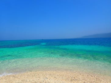 石垣島 ADVENTURE PiPi（イシガキジマアドベンチャーピピ）に投稿された画像（2019/8/12）