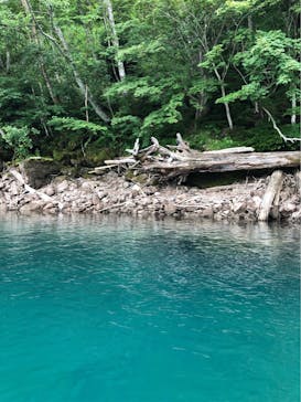 Bluebird Canoe（ブルーバードカヌー）に投稿された画像（2019/8/12）