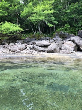 Bluebird Canoe（ブルーバードカヌー）に投稿された画像（2019/8/12）