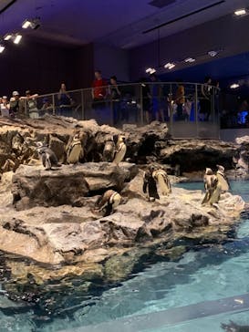 すみだ水族館に投稿された画像（2019/8/14）