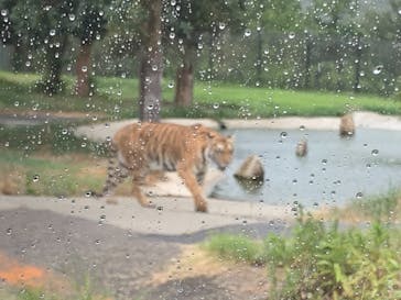 姫路セントラルパークに投稿された画像（2019/8/14）