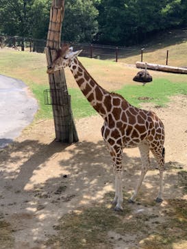 姫路セントラルパークに投稿された画像（2019/8/14）