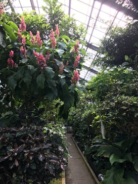 熱川バナナワニ園に投稿された画像（2019/8/14）