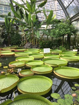 熱川バナナワニ園に投稿された画像（2019/8/14）