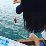 海釣り体験＠レンタル釣竿まるへい遊び隊に投稿された画像（2019/8/15）