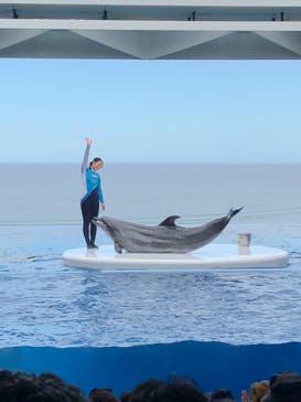 上越市立水族博物館 うみがたりに投稿された画像（2019/8/15）