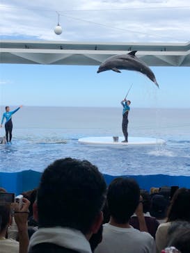 上越市立水族博物館 うみがたりに投稿された画像（2019/8/15）