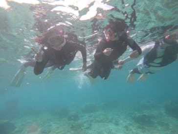 武藤潜水に投稿された画像（2019/8/16）