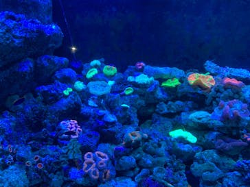 マクセル アクアパーク品川に投稿された画像（2019/8/16）