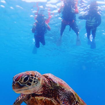 青色のシーズンに投稿された画像（2019/8/16）