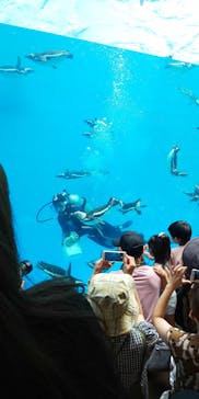 上越市立水族博物館 うみがたりに投稿された画像（2019/8/16）