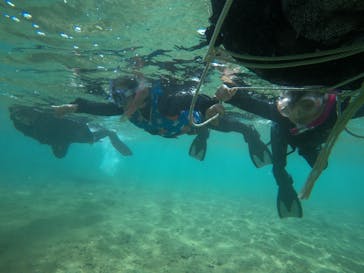 青の洞窟専門店　沖縄ダイビングショップ和に投稿された画像（2019/8/16）