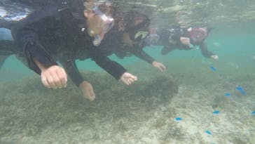 青の洞窟専門店　沖縄ダイビングショップ和に投稿された画像（2019/8/16）