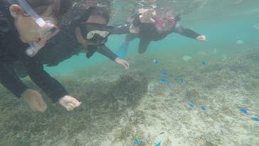 青の洞窟専門店　沖縄ダイビングショップ和に投稿された画像（2019/8/16）