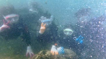 diving&workshop IHANASHI（ダイビングアンドワークショップイハナシ）に投稿された画像（2019/8/16）