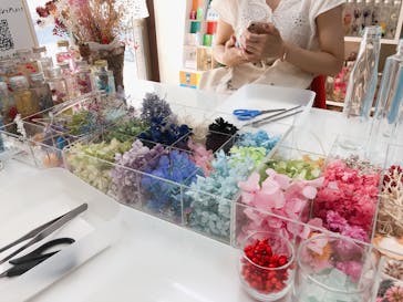 ずこうしつ〜sugamo〜に投稿された画像（2019/8/17）