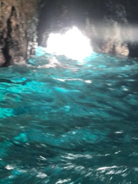 ズミヤーに投稿された画像（2019/8/17）