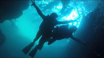 青の洞窟専門店　沖縄ダイビングショップ和に投稿された画像（2019/8/17）