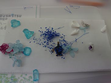 ずこうしつ〜sugamo〜に投稿された画像（2019/8/18）