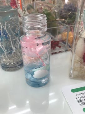 ずこうしつ〜sugamo〜に投稿された画像（2019/8/18）