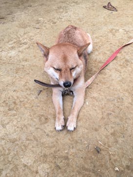 ネオパークオキナワに投稿された画像（2019/8/18）