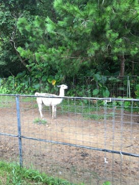 ネオパークオキナワに投稿された画像（2019/8/18）