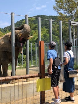 しろとり動物園に投稿された画像（2019/8/18）