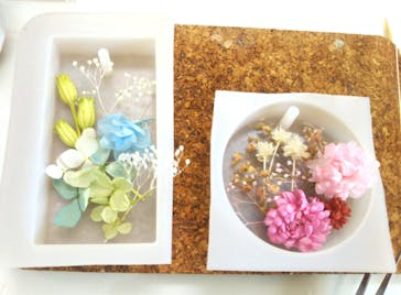 ずこうしつ〜sugamo〜に投稿された画像（2019/8/18）