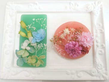 ずこうしつ〜sugamo〜に投稿された画像（2019/8/18）