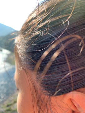 ヒートバルーン物語 昇竜会場に投稿された画像（2019/8/18）