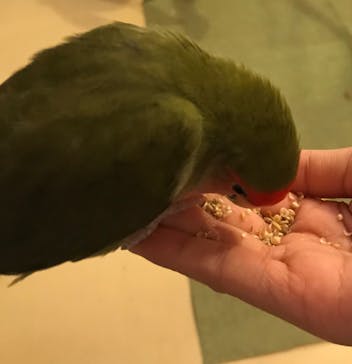 Moff animal cafe イオンモール幕張新都心店に投稿された画像（2019/8/19）