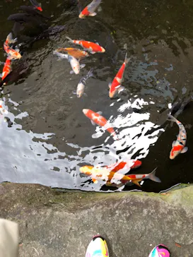 駿河健康ランドに投稿された画像（2019/8/19）