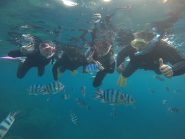 武藤潜水に投稿された画像（2019/8/19）