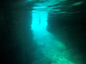 武藤潜水に投稿された画像（2019/8/19）