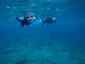 武藤潜水に投稿された画像（2019/8/19）