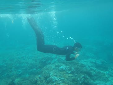 屋久島ガイドクラブに投稿された画像（2019/8/20）