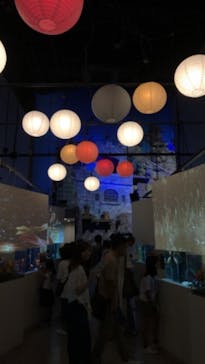 マクセル アクアパーク品川に投稿された画像（2019/8/21）