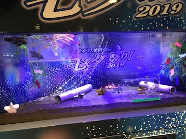 しながわ水族館に投稿された画像（2019/8/21）