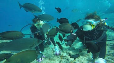 武藤潜水に投稿された画像（2019/8/21）