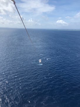 Sea World（シーワールド）に投稿された画像（2019/8/22）