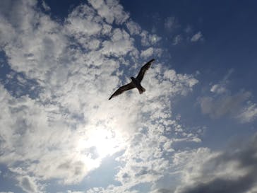 龍宮クルーズに投稿された画像（2019/8/22）